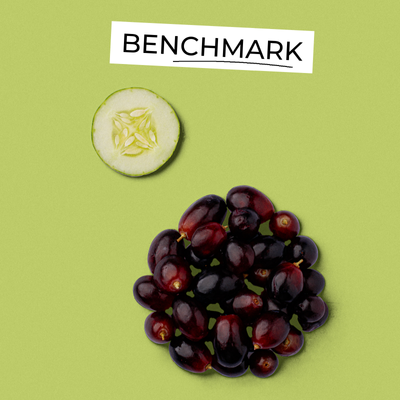 BENCHMARK (1)